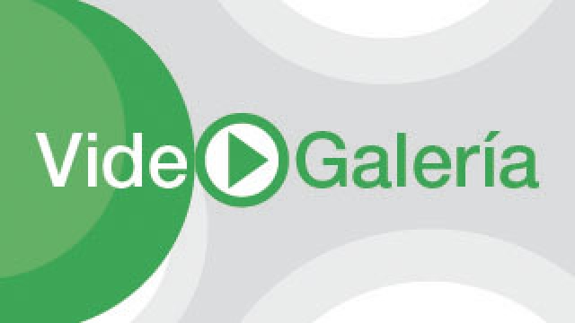 Galería de videos