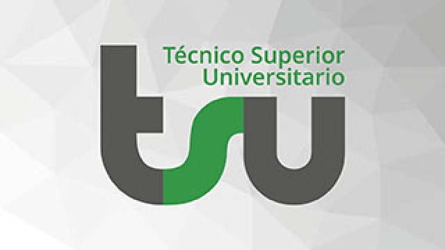 Técnico Superior Universitario